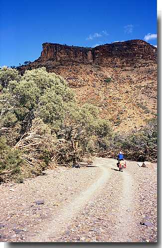Australia Bicycle Touring Photos Rocky Road